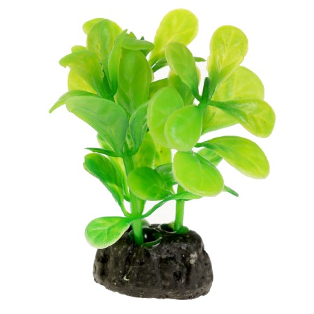 The artificial aquarium plant is small, 6 cm-3