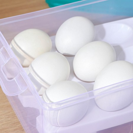 Egg storage container, 24 cells, two -level, mix-2