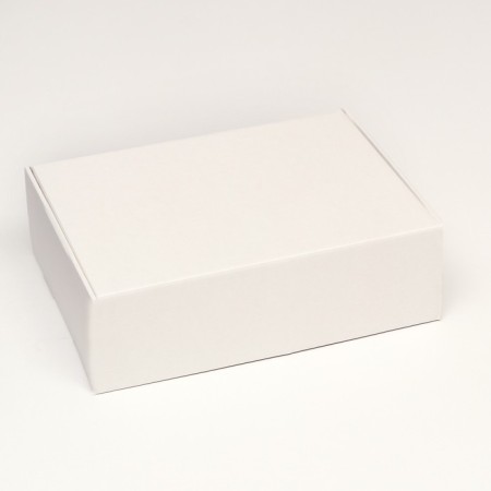Self -charged box, white, 31 x 22 x 9.5 cm set 5 pcs-2