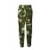Summer Male "Pioneer", color 21016/1, height 170-176, size 52-54