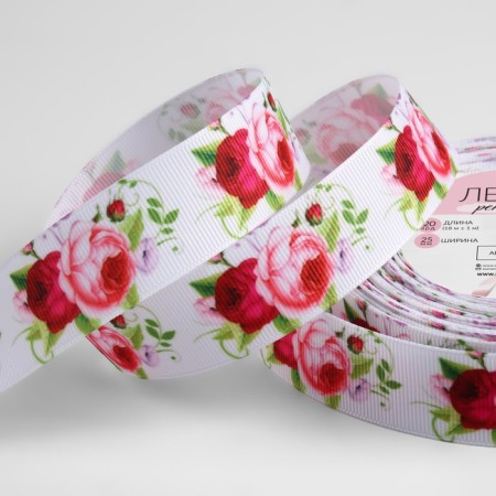 Republic tape "Pion", 25 mm, 18 ± 1 m, multi -colored