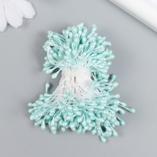 Stamens for flowers 
