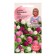 Gomprene flowers "Sherrovid mixture", 0.1 g