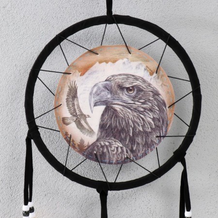 Dreams "Eagle" 20x20 cm-1
