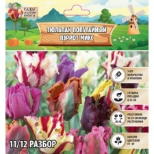 Тюльпан попугайный Пэррот микс, р-р 11/12, 5 шт, Осень 2023