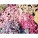 Glossy packaging paper "Bouquet of flowers", 0.5 x 0.7 m