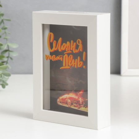 Interior plastic Pigger "Today is your day!" 17x12x3.8 cm-3