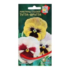 Semen flowers of pansies 