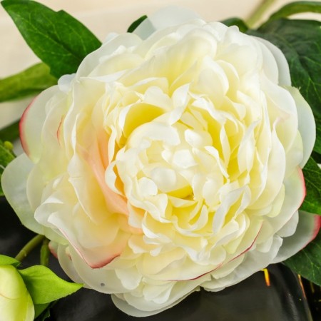 Artificial flowers "duo peony" 12x60 cm, white-1