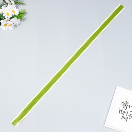 The workpiece for the manufacture of leaves is 35x800 mm, milk/green