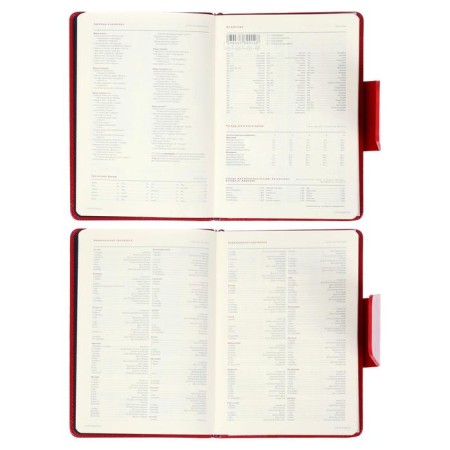 Deliciper of Leduced A5, 160 Prestige sheets, solid cover, artificial leather, magnetic straps, red-8