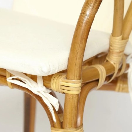 Terrary Akira set with a pillow, armchair 54 x 60 x 78cm, table D46x40cm-5