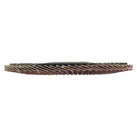 Circle of petal conical scrap, 125 x 22 mm, p60-3