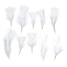 A set of feathers for decor 10 pcs., Size 1 pcs: 10 × 4 cm, white color