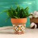 Pot "Trapezius" Terracott with a pattern, 9x9cm, mix