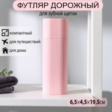 Case for toothbrush and pasta, 19.5 × 6.5 × 4.5 cm, color mix
