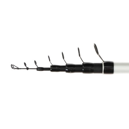 Float rod with Salmo Blaster Ultima Telerod rings, test 5-20 g, length 6 m-1