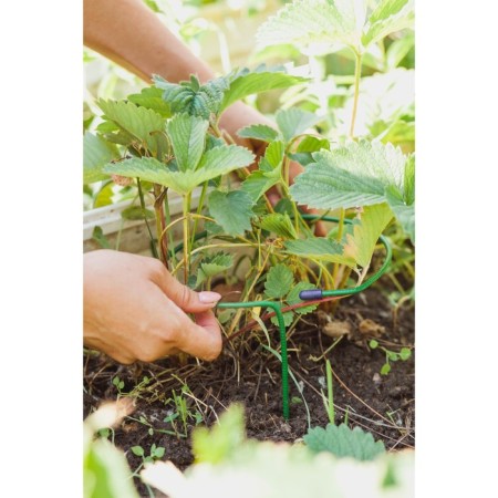 Builder for strawberries, d = 15 cm, h = 25 cm, leg d = 0.3 cm, metal, green, Greengo-2