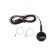 Antenna Automobile FM Active intra -junction SkyWay Omikron Round, thin canvas, two mustache, cable 2.2 m S00203004