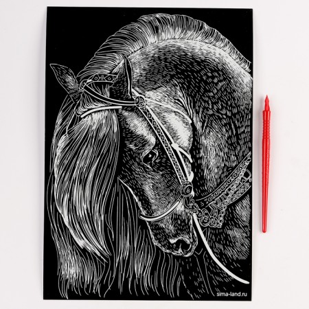 Engraving. Set of engravings "Animals", A4, 4 pcs-5