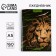 Diary "Leo Character and Strength", A5, 160 sheets