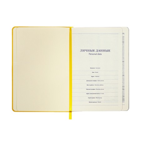 Leduced Diary A5, 140l, Cage, leatherette, elastic band, black cut, yellow-6