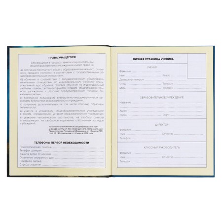 Diary for grades 1-4, hard cover "Fairytale", matte lamination, selective varnish, block 60 g/m2-5