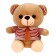 Soft toy "Mishutka in a shirt"