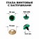 Rifle eyes with plugs, "sparkles" set of 30 pcs, size 1 pc: 1.6 cm, green color