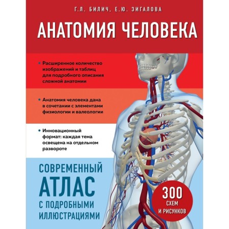Human anatomy. Modern Atlas with detailed illustrations. Bilich G.L., Zigalova E.Yu.