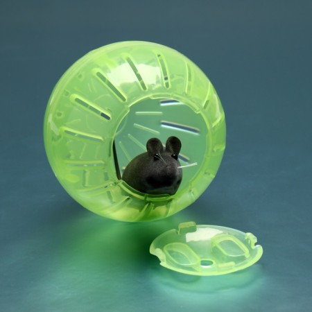 A ball for rodents 10 cm, green-2