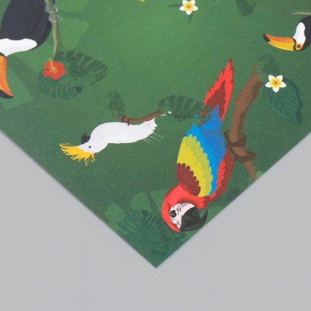 Scrapbooking paper "Exotic birds" density 180 grams set 10 pcs 15.5x17 cm-3