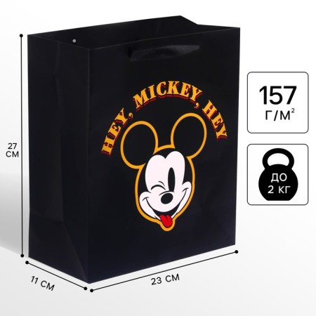Gift package, 23x27x1 cm, packaging, Mickey Mouse