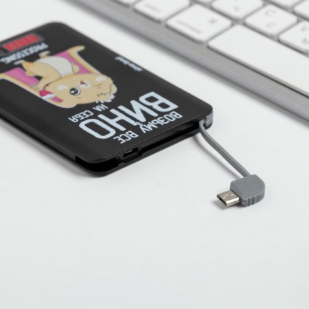 Charger "Take all wine", 2500 MAH, 6 x 9.5 cm-5