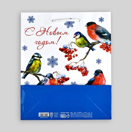 Package New Year's laminated "Bullfinch", ML 21 x 25 x 8 cm-4