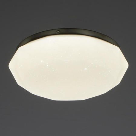 Ceiling light 1x12W LED F21.5cm 4000K-2