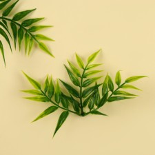 A branch of greens, size 1 pcs11*5*5cm., Set 3 pcs.