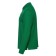 Male shirt, size 52, green color
