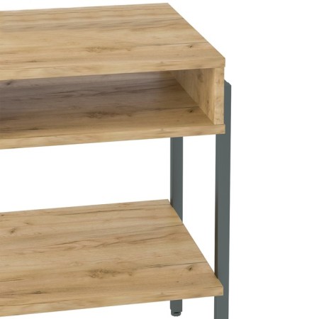 Cleaner Cleaner CHICAGO, 39x60x35, oak craf gold, black-4