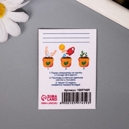 A set of postcards with seeds "grow itself" "Dream" 5*7cm-3