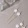 Skewers of the share "chamomile", 12 cm, set 25 pcs