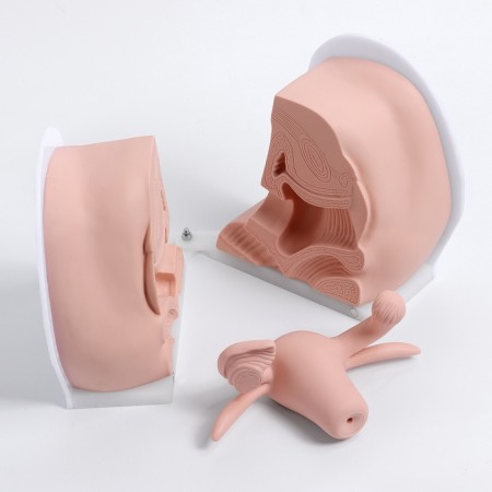 Vagina layout polled 19*13*17cm-1