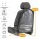 Torso-Nosapinayka Nutrition on the back of a seat 58 × 42 cm, transparent