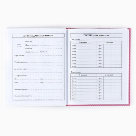 School diary for grade 1-11, in a solid cover, 40 l. "Cat"-2