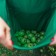 Apron for harvesting, one pocket, green, Greengo