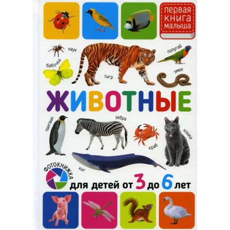 Animals. For children from 3 to 6 years old