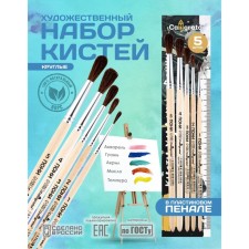 Set of brushes of ponies 5 pieces, calligrata No. 3 (round No.: 1, 2, 3, 4, 5), wooden pen, in the pencil case