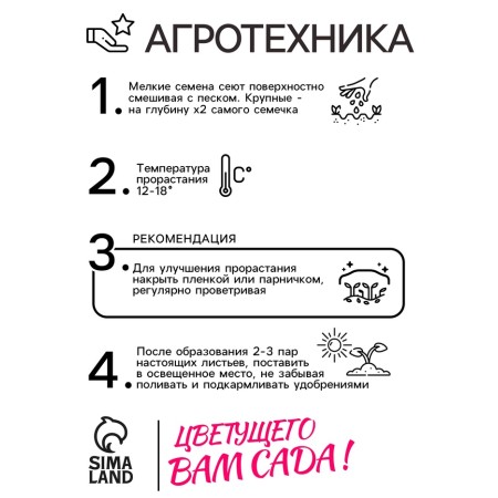 Seeds of primrose "Chord Blue Sheids", 5 pcs-3