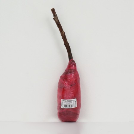 Raspberry repair varieties suite "Sugan" 1 pc, tube, spring 2025-2