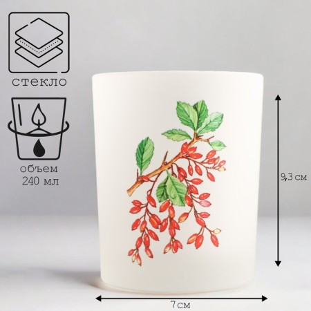 Berry Summary "Barberry" 9.3x7.7 cm, 240 ml-1